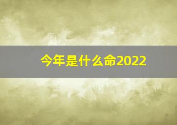 今年是什么命2022