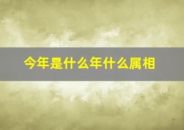 今年是什么年什么属相