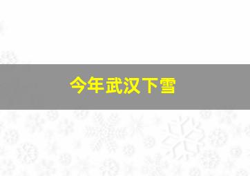 今年武汉下雪