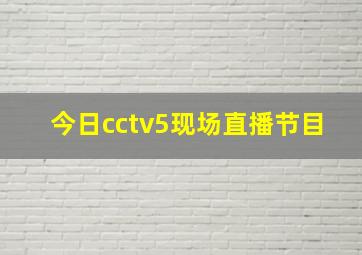 今日cctv5现场直播节目