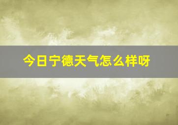 今日宁德天气怎么样呀