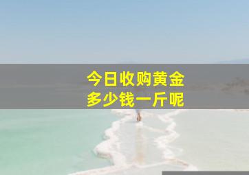 今日收购黄金多少钱一斤呢