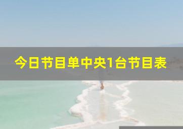 今日节目单中央1台节目表