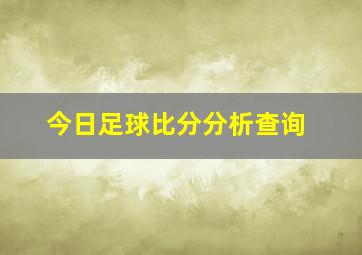 今日足球比分分析查询