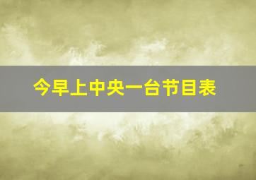 今早上中央一台节目表