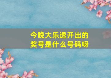 今晚大乐透开出的奖号是什么号码呀