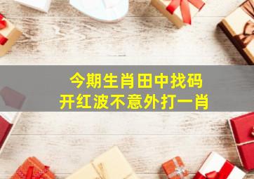 今期生肖田中找码开红波不意外打一肖