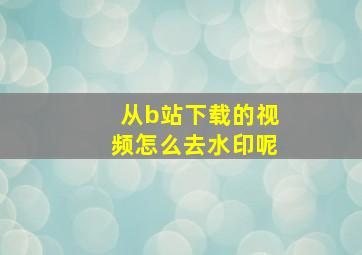 从b站下载的视频怎么去水印呢