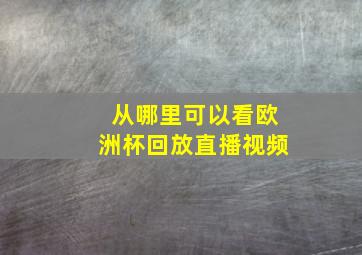 从哪里可以看欧洲杯回放直播视频