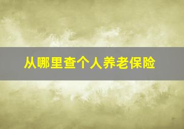 从哪里查个人养老保险