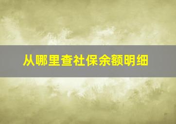 从哪里查社保余额明细