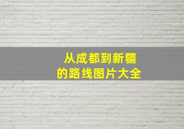 从成都到新疆的路线图片大全