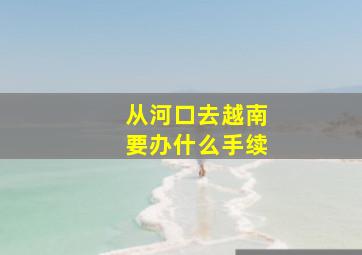 从河口去越南要办什么手续