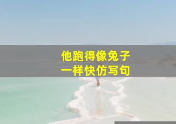 他跑得像兔子一样快仿写句