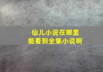 仙儿小说在哪里能看到全集小说啊