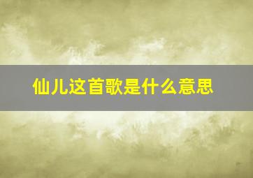 仙儿这首歌是什么意思