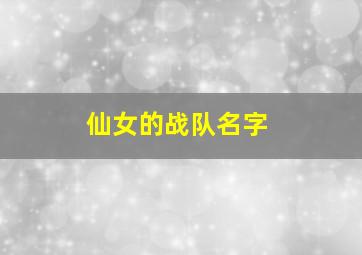 仙女的战队名字