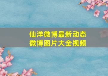 仙洋微博最新动态微博图片大全视频