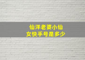 仙洋老婆小仙女快手号是多少