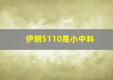 伊朗5110是小中料