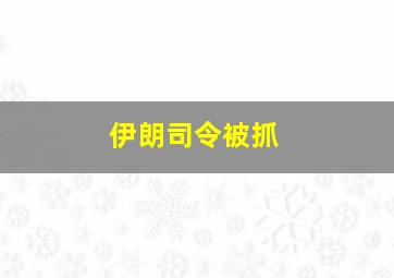 伊朗司令被抓