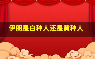 伊朗是白种人还是黄种人