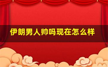 伊朗男人帅吗现在怎么样