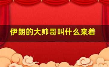 伊朗的大帅哥叫什么来着