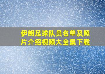 伊朗足球队员名单及照片介绍视频大全集下载