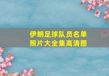 伊朗足球队员名单照片大全集高清图