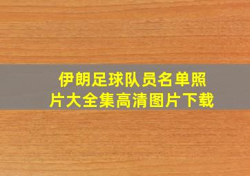 伊朗足球队员名单照片大全集高清图片下载