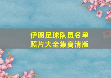 伊朗足球队员名单照片大全集高清版