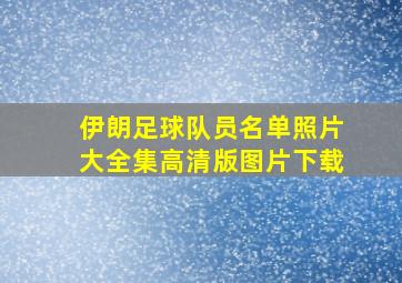 伊朗足球队员名单照片大全集高清版图片下载