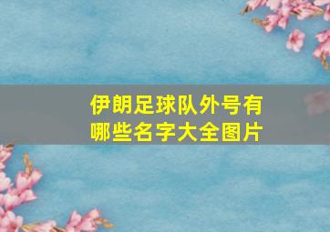 伊朗足球队外号有哪些名字大全图片