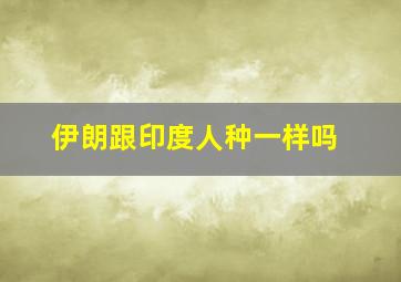 伊朗跟印度人种一样吗