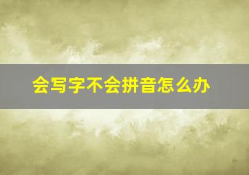 会写字不会拼音怎么办