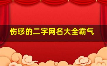 伤感的二字网名大全霸气