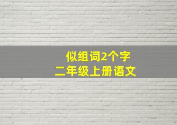 似组词2个字二年级上册语文