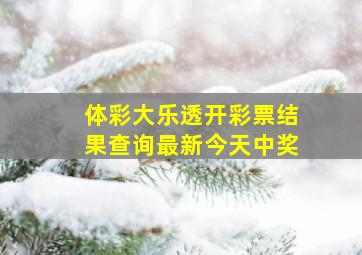 体彩大乐透开彩票结果查询最新今天中奖