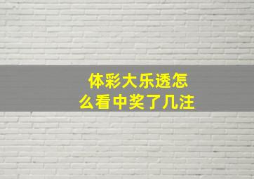 体彩大乐透怎么看中奖了几注