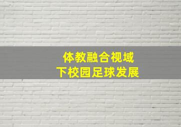 体教融合视域下校园足球发展