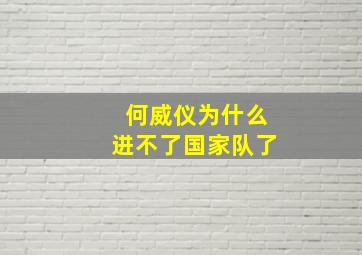 何威仪为什么进不了国家队了