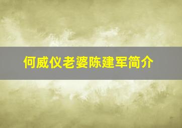 何威仪老婆陈建军简介