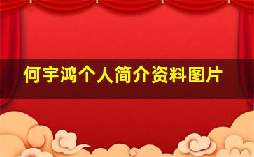 何宇鸿个人简介资料图片