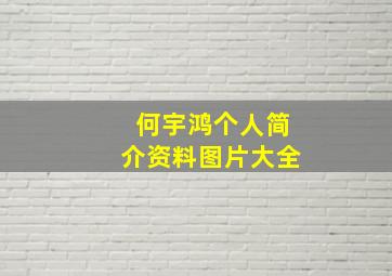 何宇鸿个人简介资料图片大全