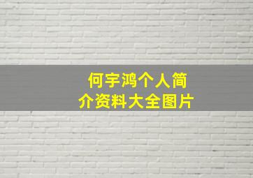 何宇鸿个人简介资料大全图片