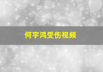 何宇鸿受伤视频