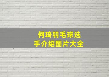 何琦羽毛球选手介绍图片大全