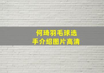 何琦羽毛球选手介绍图片高清