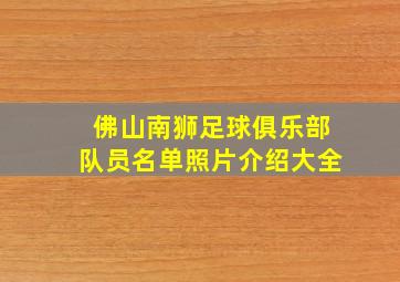 佛山南狮足球俱乐部队员名单照片介绍大全